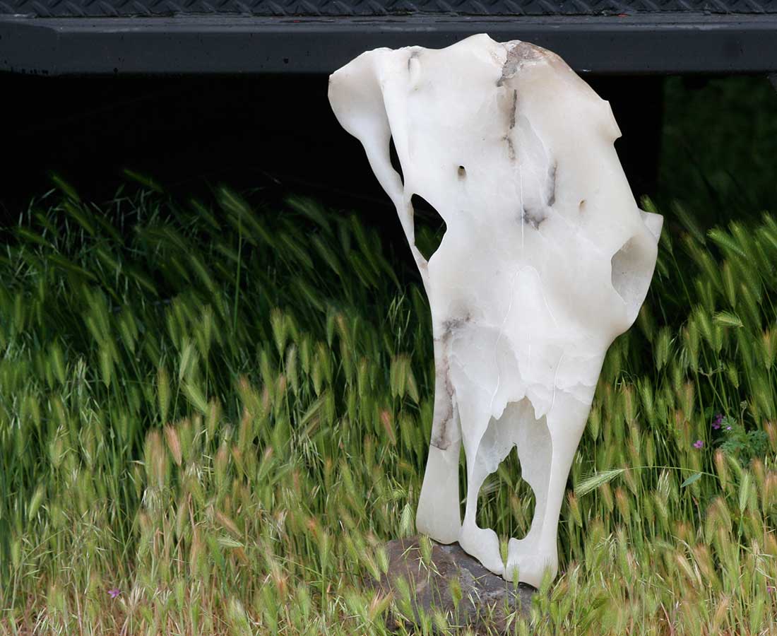 alabaster cow skull